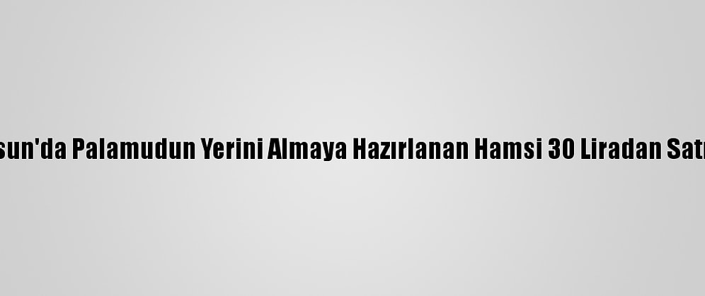 Samsun'da Palamudun Yerini Almaya Hazırlanan Hamsi 30 Liradan Satılıyor