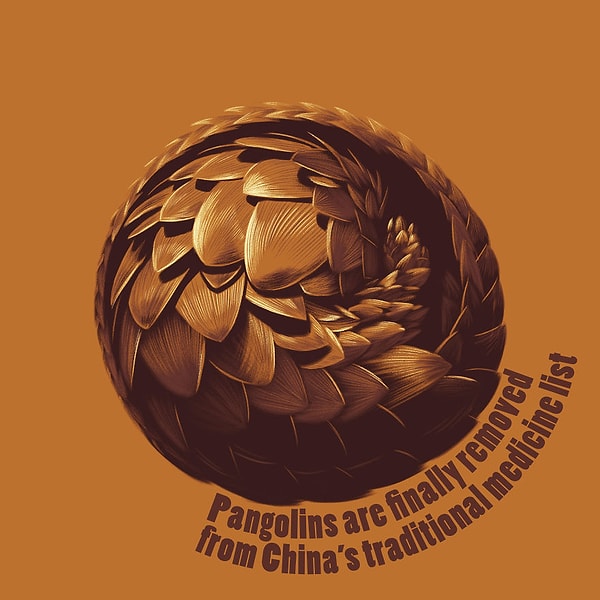 8. «Панголинов наконец-то исключили из списка традиционной медицины Китая».