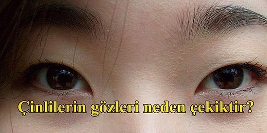 Öğrendikten Sonra Ufak Çapta Bir Rönesans Yaşayacağınız Hayatın İçinden 15 Soru ve Cevabı