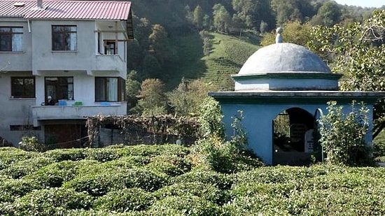 Rize'de Bir Vatandaş Kendine Türbe Gibi Mezar Yaptı