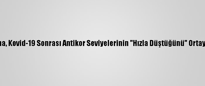 Araştırma, Kovid-19 Sonrası Antikor Seviyelerinin "Hızla Düştüğünü" Ortaya Koydu