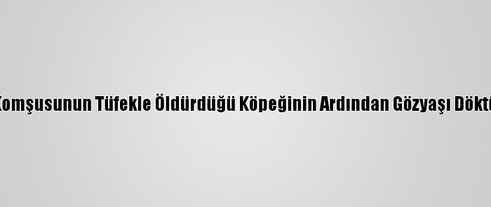 Komşusunun Tüfekle Öldürdüğü Köpeğinin Ardından Gözyaşı Döktü