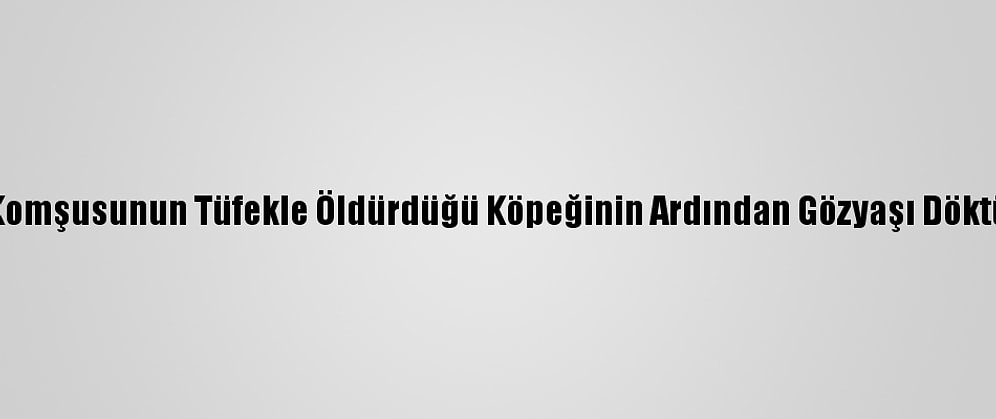 Komşusunun Tüfekle Öldürdüğü Köpeğinin Ardından Gözyaşı Döktü