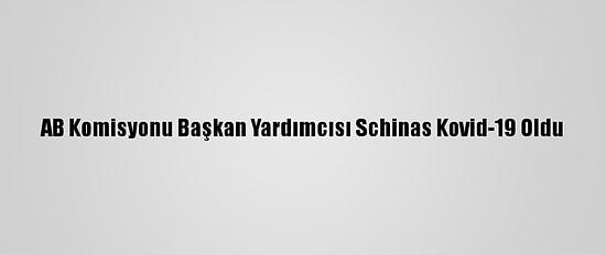 AB Komisyonu Başkan Yardımcısı Schinas Kovid-19 Oldu