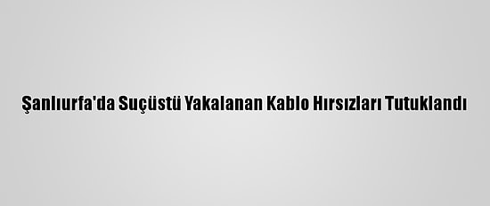 Şanlıurfa'da Suçüstü Yakalanan Kablo Hırsızları Tutuklandı