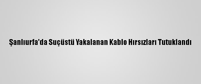 Şanlıurfa'da Suçüstü Yakalanan Kablo Hırsızları Tutuklandı