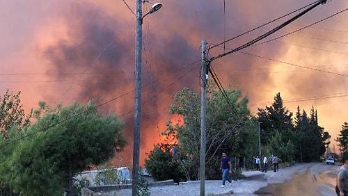 İskenderun'da Orman Yangını: Alevler Yerleşim Yerlerine Yaklaştı
