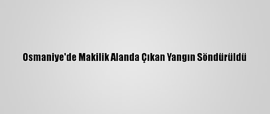 Osmaniye'de Makilik Alanda Çıkan Yangın Söndürüldü