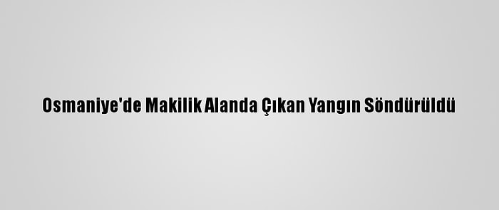 Osmaniye'de Makilik Alanda Çıkan Yangın Söndürüldü