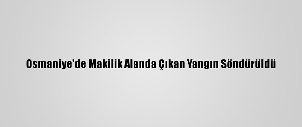 Osmaniye'de Makilik Alanda Çıkan Yangın Söndürüldü