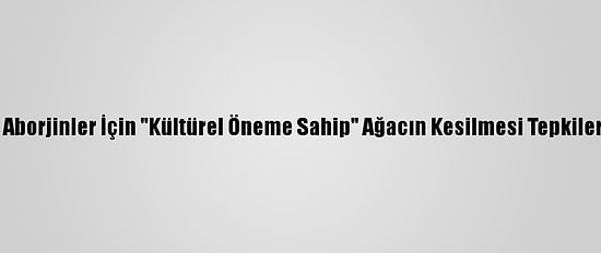 Avustralya'da Aborjinler İçin "Kültürel Öneme Sahip" Ağacın Kesilmesi Tepkilere Neden Oldu