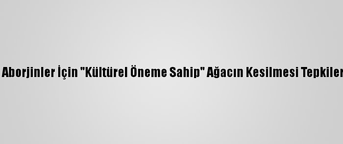 Avustralya'da Aborjinler İçin "Kültürel Öneme Sahip" Ağacın Kesilmesi Tepkilere Neden Oldu