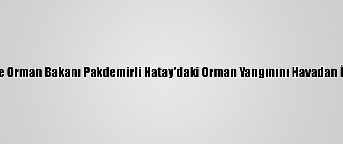 Tarım Ve Orman Bakanı Pakdemirli Hatay'daki Orman Yangınını Havadan İnceledi