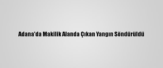 Adana'da Makilik Alanda Çıkan Yangın Söndürüldü