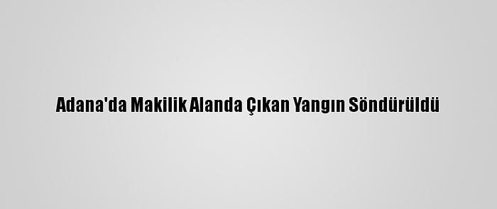 Adana'da Makilik Alanda Çıkan Yangın Söndürüldü