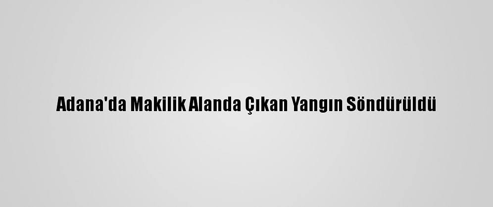 Adana'da Makilik Alanda Çıkan Yangın Söndürüldü
