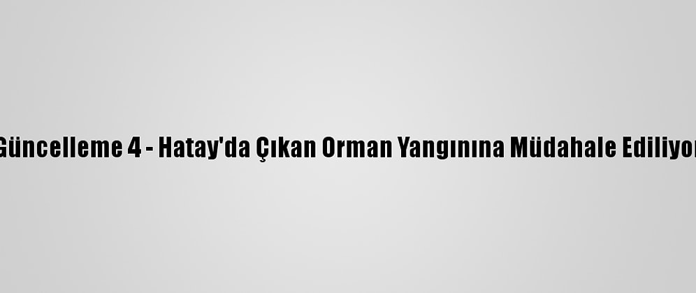 Güncelleme 4 - Hatay'da Çıkan Orman Yangınına Müdahale Ediliyor