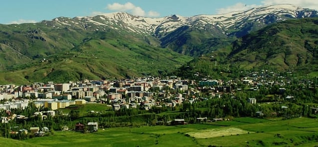 49. Muş