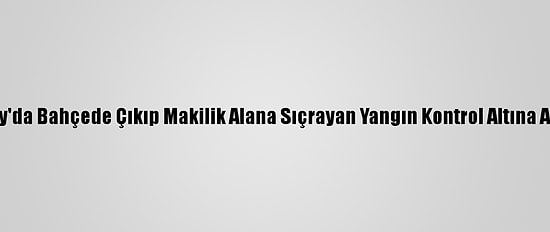 Hatay'da Bahçede Çıkıp Makilik Alana Sıçrayan Yangın Kontrol Altına Alındı