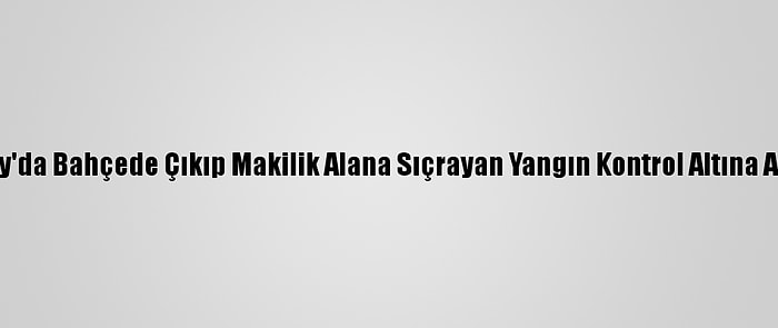 Hatay'da Bahçede Çıkıp Makilik Alana Sıçrayan Yangın Kontrol Altına Alındı