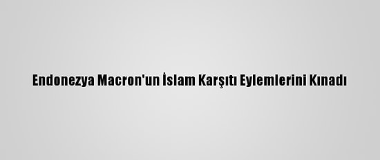 Endonezya Macron'un İslam Karşıtı Eylemlerini Kınadı