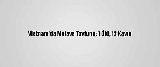Vietnam'da Molave Tayfunu: 1 Ölü, 12 Kayıp