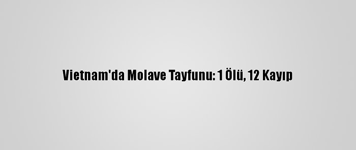 Vietnam'da Molave Tayfunu: 1 Ölü, 12 Kayıp