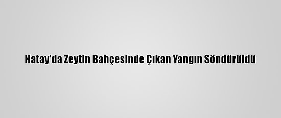 Hatay'da Zeytin Bahçesinde Çıkan Yangın Söndürüldü