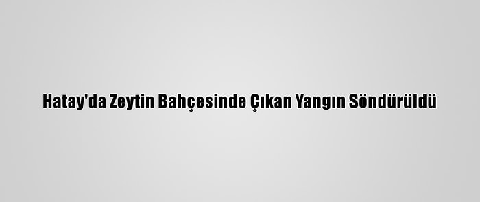 Hatay'da Zeytin Bahçesinde Çıkan Yangın Söndürüldü