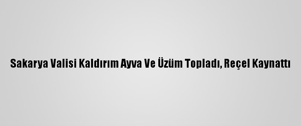 Sakarya Valisi Kaldırım Ayva Ve Üzüm Topladı, Reçel Kaynattı