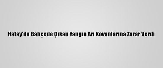 Hatay'da Bahçede Çıkan Yangın Arı Kovanlarına Zarar Verdi