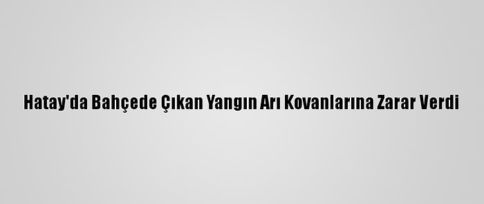 Hatay'da Bahçede Çıkan Yangın Arı Kovanlarına Zarar Verdi