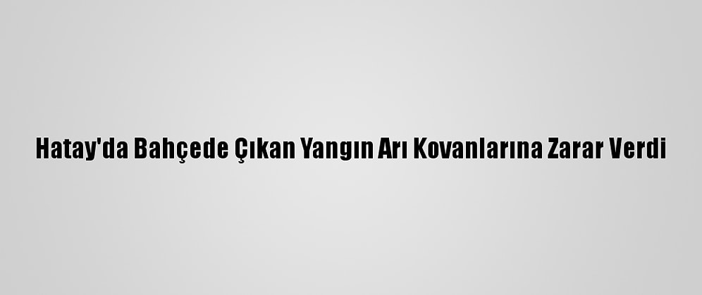 Hatay'da Bahçede Çıkan Yangın Arı Kovanlarına Zarar Verdi