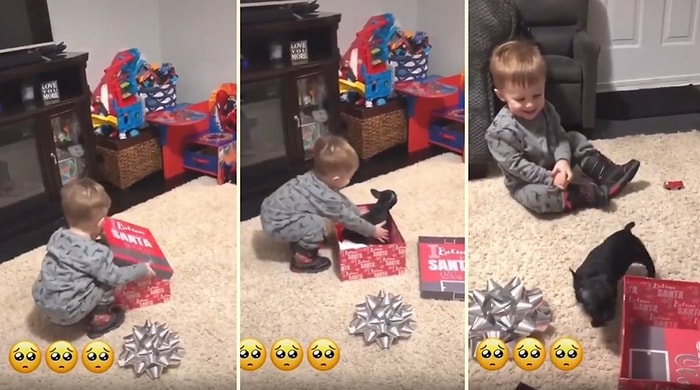 Doğum Gününde Sahiplenilen Yavru Köpeğe Kavuşan Ufaklığın İzlerken Gözlerinizden Kalpler Fışkırtacak Anları