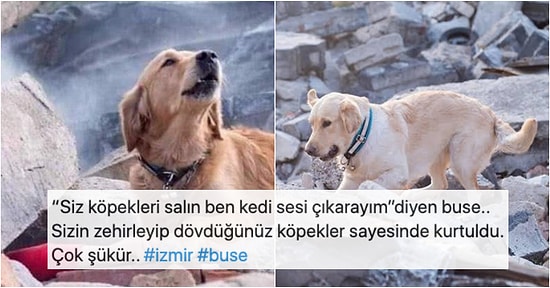Buse Gibi Enkaz Altında Kalan Birçok İnsanın Hayatını Kurtarmak İçin Çabalayan Hayvan Dostlarımız Hepimizi Duygulandırdı