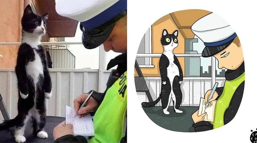 Художник из Индонезии решил нарисовать 30 самых смешных интернет-мемов про кошек всех времен