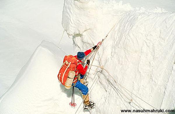Milli sporcu, profesyonel dağcı, yazar fotoğrafçı ve kar leoparı...
