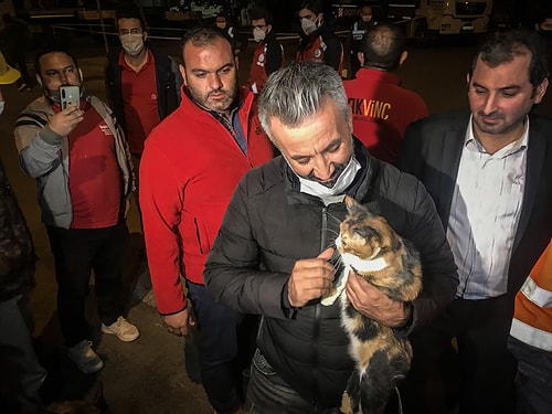 Enkaz Altındaki Kedi, Yaklaşık 30 Saat Sonra K-9 Köpeği Tarafından Kurtarıldı