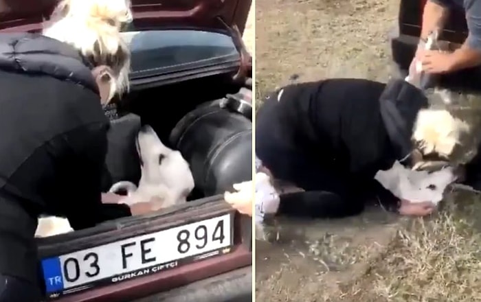 Yaktığınız Canlar Kadar Yanasınız: Köye Gezmeye Gelen Çiftin Köpeğini Tavuklara Havladığı İçin Vurdular