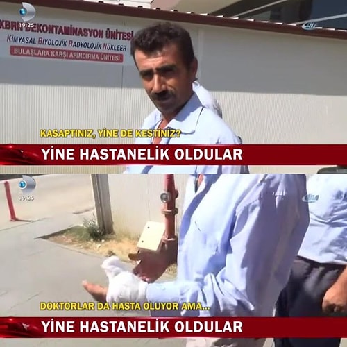 Kendilerini Savundukları Argümanlarla Sokrates'in Savunmasına Taş Çıkartan Yurdum İnsanından 15 Harika Örnek