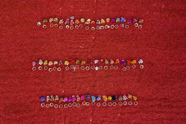 22. Категория людей: Женщины, сортирующие сухой красный перец чили