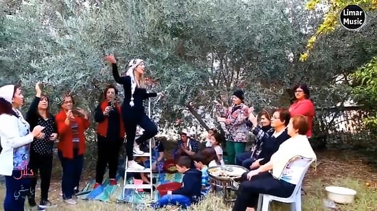 Lübnan'da Zeytin Hasadı Yapan Kadınlar Şarkı Söylerken Siz Hipnoz Olacaksınız