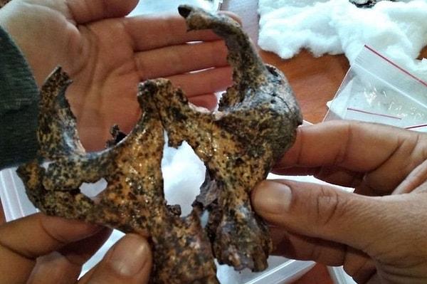 Araştırma ekibinden Jesse Martin BBC'ye buldukları kafatasının "insan soyunun mikro evrimine ilişkin nadir bir örneğini temsil ettiğini" söyledi.