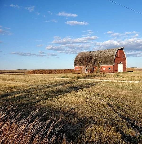 19. Еще пару десятков лет, и от этого здания мало что останется.