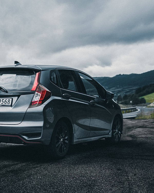 Несмотря на длинные дороги и малонаселенные районы,  Норвегия приобретает львиную долю электромобилей в мире.