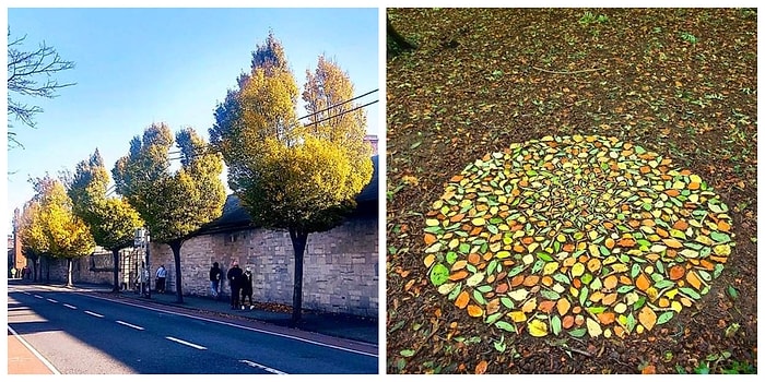 Перфекционисты, сегодня ваш день! (20 фото, доставляющие истинное наслаждение)