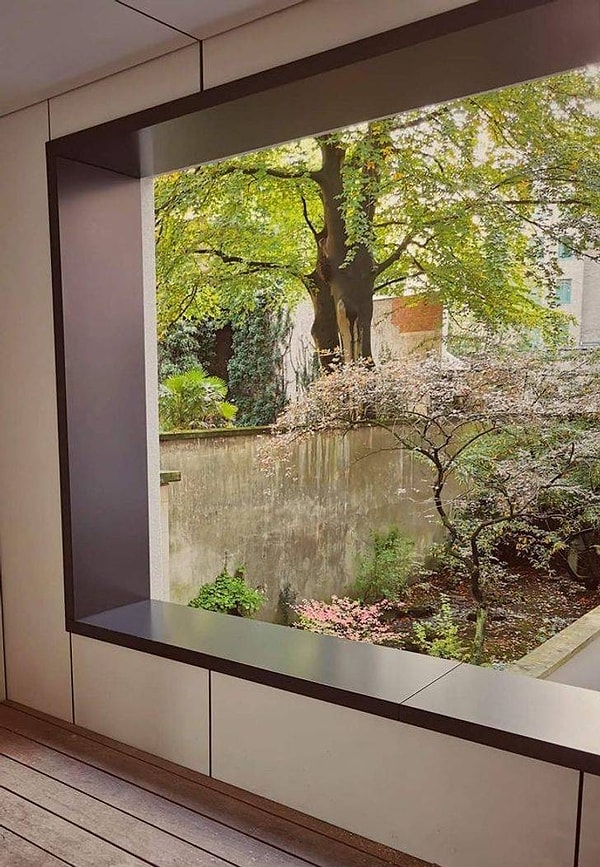 8. "Стена за окном здорово смахивает на пруд".