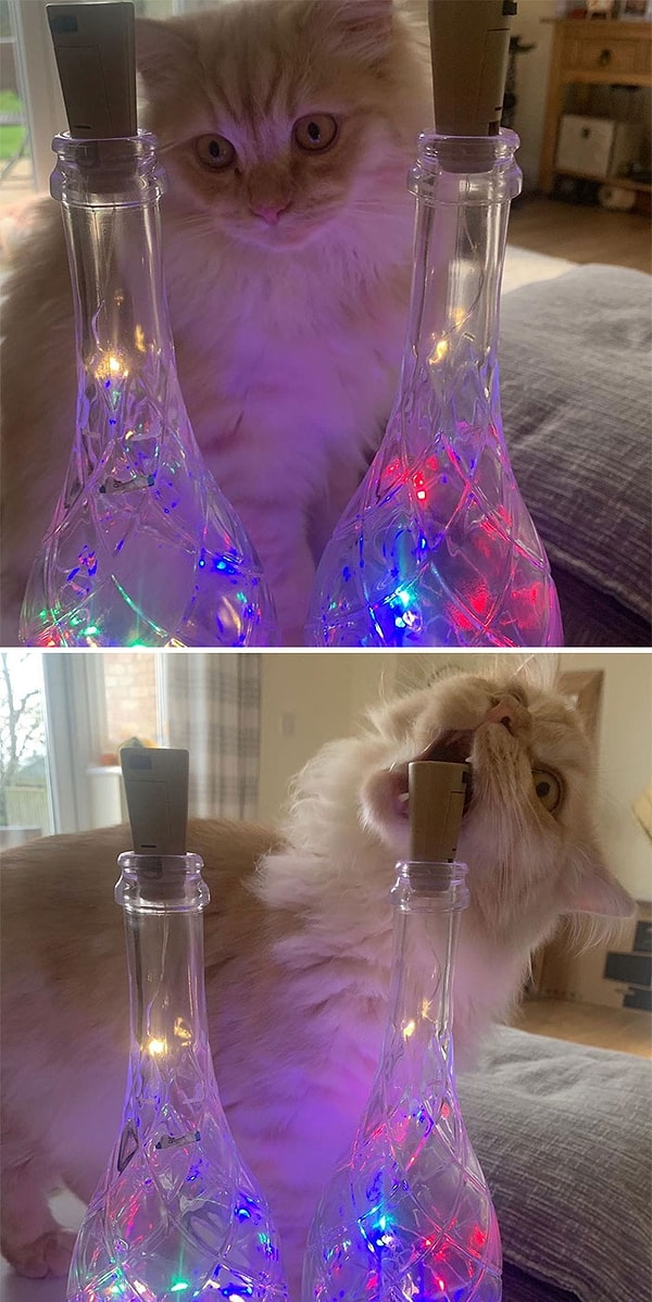 4. С одной стороны, они хотят продемонстрировать свою лучшую сторону. Люди хотят, чтобы их обожали, и это естественно.