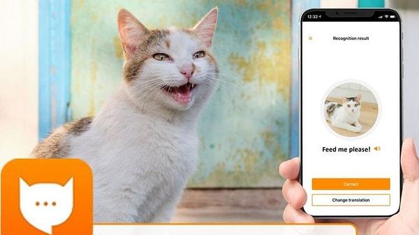 MeowTalk uygulaması, kedilerin miyavlamalarını kaydederek ne anlama geldiklerini çevirmeye çalışıyor.