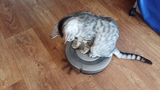 Sadece Kiri Değil Sesinizi de Çekebilir: Robot Süpürgeler İçin 'Ortam Dinleme' Uyarısı